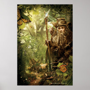 Póster RADAGAST™ en bosque