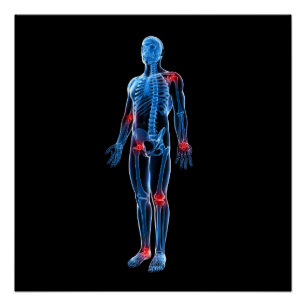 Póster Radiografía humana