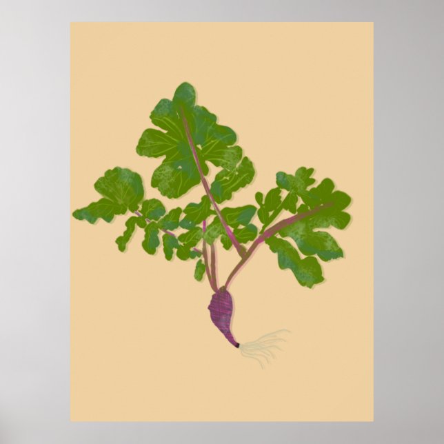 Póster Radish de granjero transforma plantas en jardinerí (Frente)