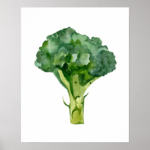 Póster Radish orgánico de acuarela