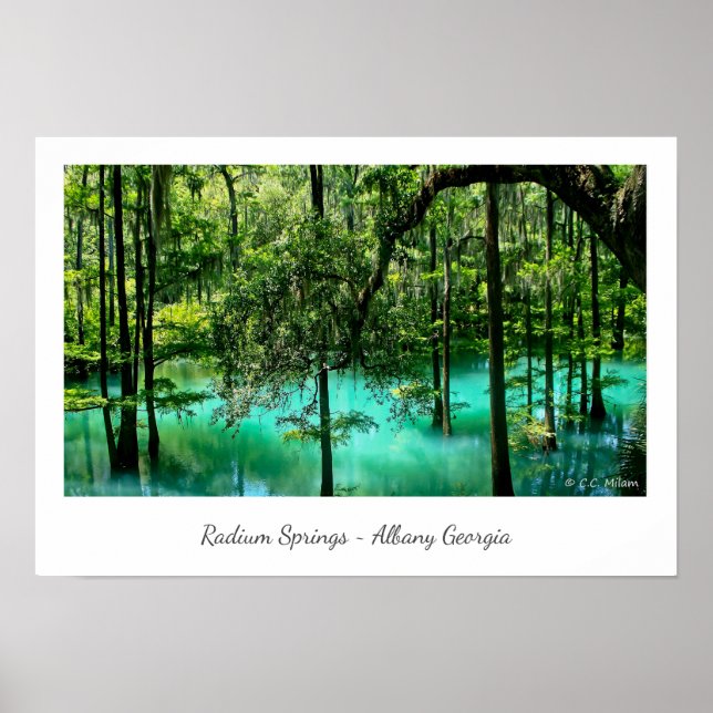 Póster Radium Springs ~ Albany Georgia (Frente)