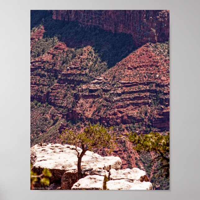 Póster Rafinesque Watches (Frente)