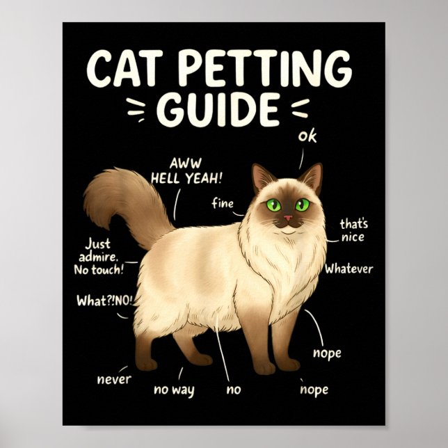 Póster Ragdoll Cat Petting Guide Funny Cat Lover  (Frente)