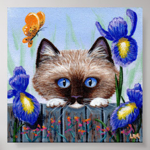 Póster Ragdoll Kitten Cat Siamese birmano