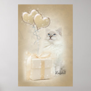 Póster Ragdoll poster