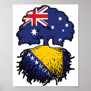 Póster Raíces bosnias australianas de árbol en Bosnia