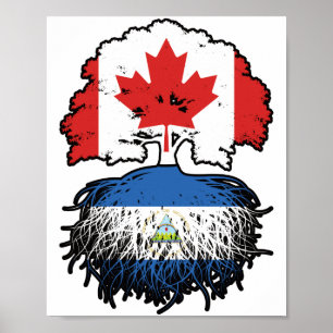 Póster Raíces de árbol canadiense nicaragüense