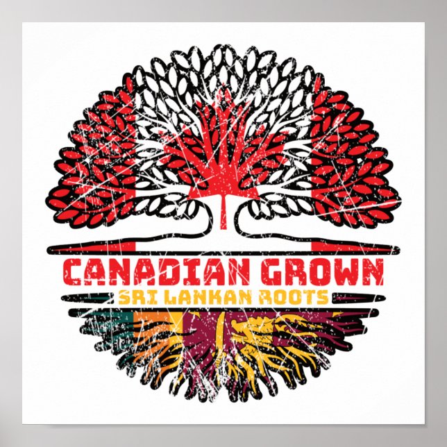 Póster Raíces de árboles canadienses en Sri Lanka (Frente)