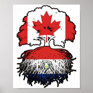 Póster Raíces de árboles de Canadá paraguayo