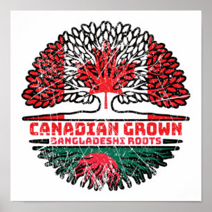 Póster Raíces del árbol canadiense bangladesí