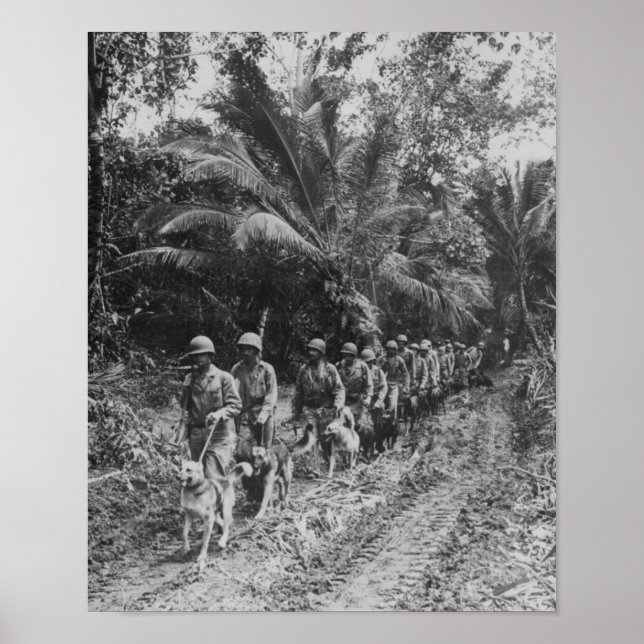 Póster Raiders (Frente)