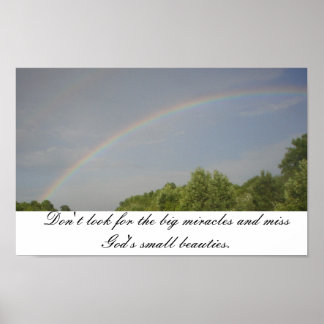 Póster Rainbow Beauties