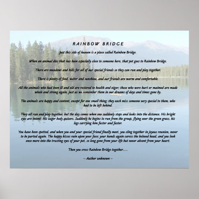 Póster Rainbow Bridge 2 (Frente)