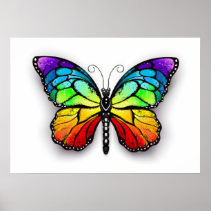 Póster Rainbow butterfly Monarch