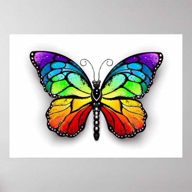 Póster Rainbow butterfly Monarch (Frente)