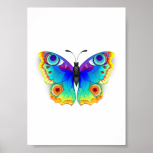 Póster Rainbow Butterfly Peacock Eye