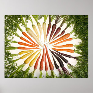 Póster Rainbow Multicolored Carrots Rectangle Poster