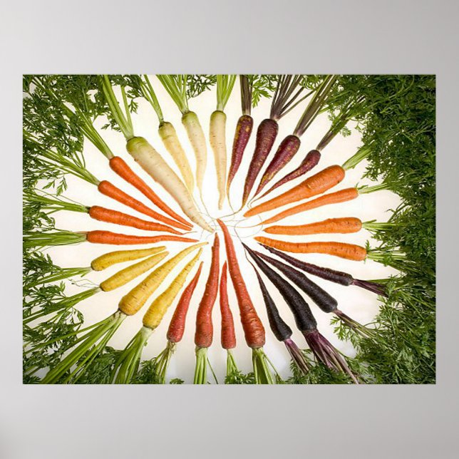 Póster Rainbow Multicolored Carrots Rectangle Poster (Frente)