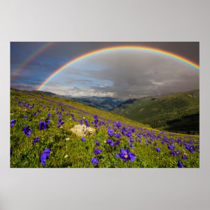 Póster Rainbow Over A Flowering Meadow