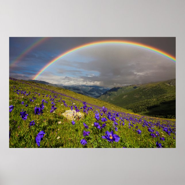 Póster Rainbow Over A Flowering Meadow (Frente)
