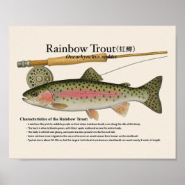 Póster Rainbow Trout – English Art Print