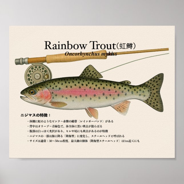Póster Rainbow Trout – japanese Art Print (Frente)