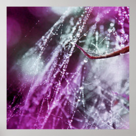 Póster Raindrops on Purple Cobweb Macro Abstract