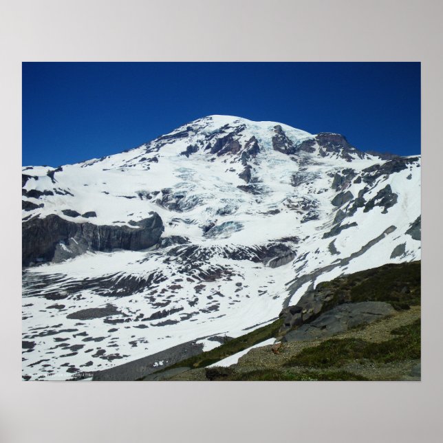 Póster Rainier P555 (Frente)