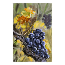 Raisins sur la souche de vigne, provence.