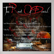 Raíz De D.R. De David.