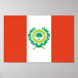Póster Raleigh, bandera de Carolina del Norte