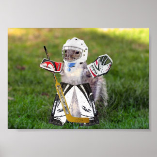 Póster Rally Goalie Poster