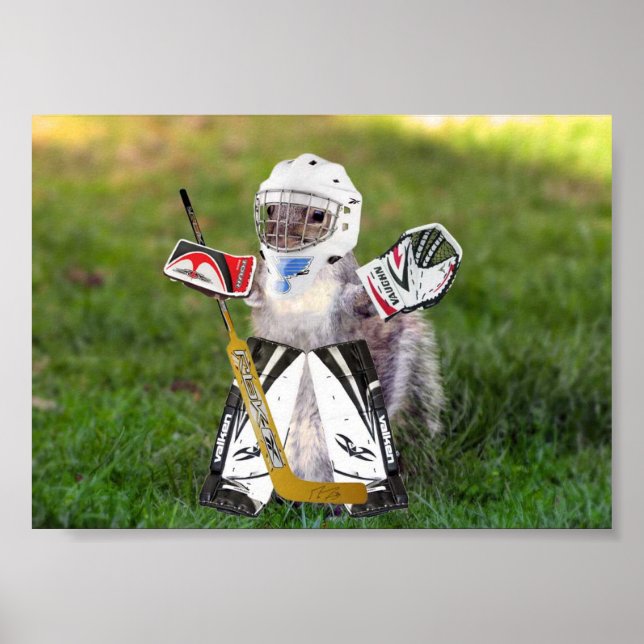 Póster Rally Goalie Poster (Frente)