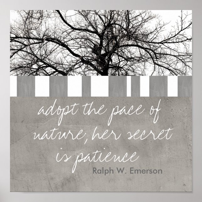 poster Ralph W Emerson cita arte fotográfico de na (Frente)