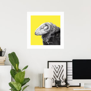 Póster Ram de Herdwick en Abrigo de Duffel (amarillo retr