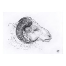 Ram - Dibujo original - Poster