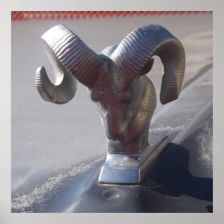 Póster Ram plateado