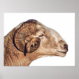 Póster Ram Sheep Face Farm Animales Naturales