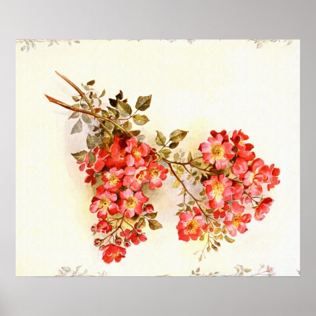 Póster Rama con personalizado de flores rosa (Frente)