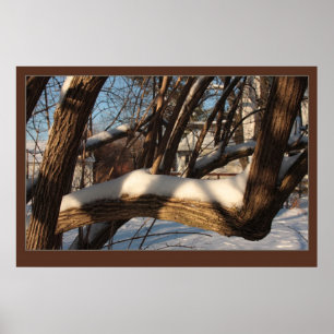 Póster Rama cubierta