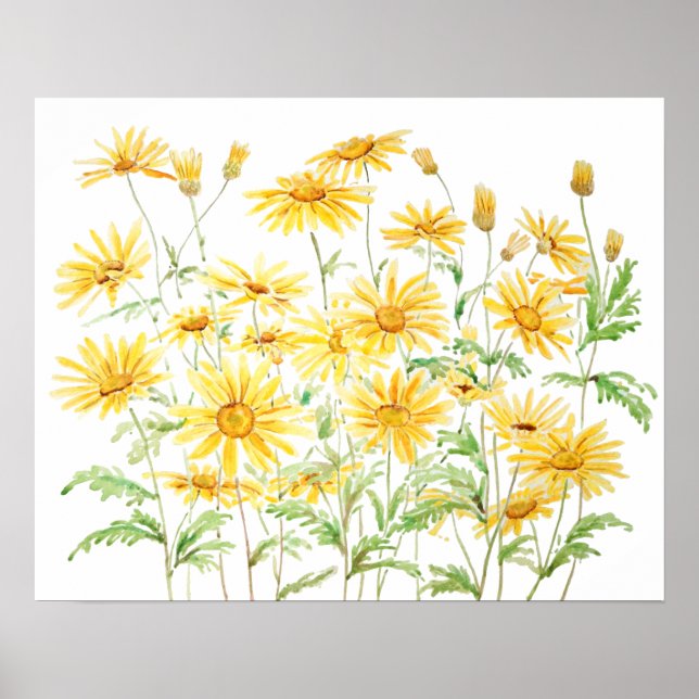 Póster Rama de agua amarilla Margaret Daisies (Frente)