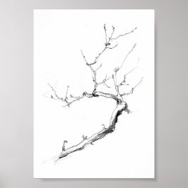 Póster Rama de árbol delgado minimalista