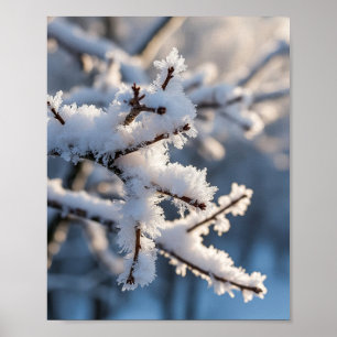 Póster Rama de árbol helada con nieve invernal y luz sola