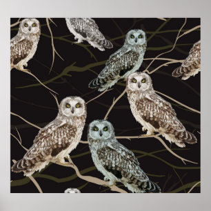 Póster Rama de búho: Percha solitaria de pájaro.