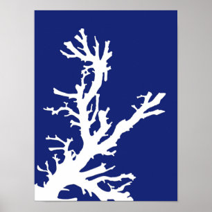 Póster Rama de coral, azul y blanco de la Marina