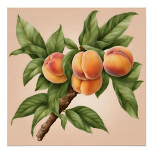 Póster Rama de cosecha con Ilustracion de fruta de cáscar