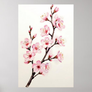 Póster Rama de flor de cerezo acuarela