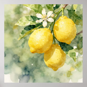 Póster Rama de limón acuarela botánica verano