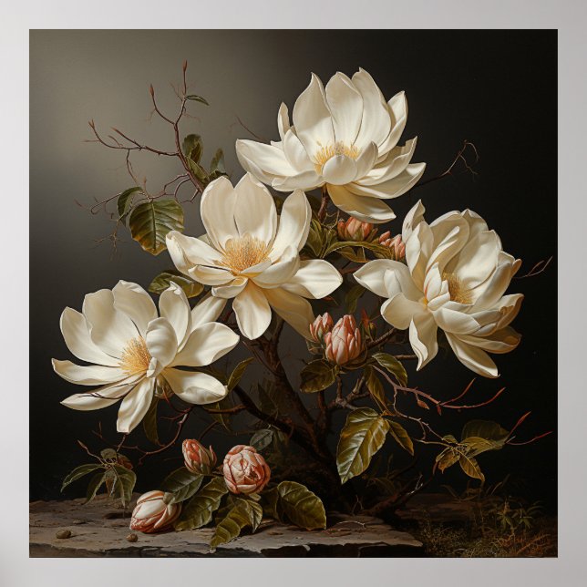 Póster Rama de magnolia blanca con flor (Frente)