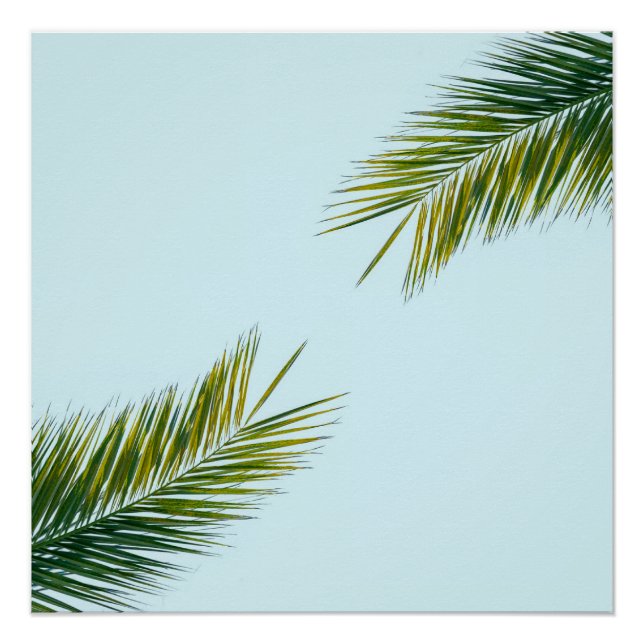 Póster rama de palmera (Anverso)